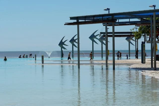 Cairns Esplanade Lagoon palms