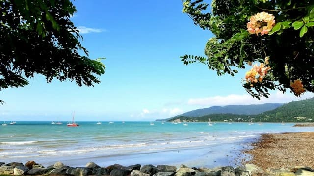 airlie beach queensland marina australia